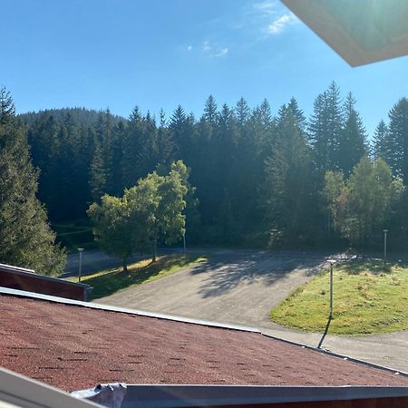 Appartamento Au P'Tit Nid Douillet De Lea Muhlbach-sur-Munster Esterno foto