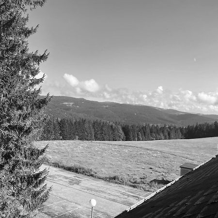 Appartamento Au P'Tit Nid Douillet De Lea Muhlbach-sur-Munster Esterno foto