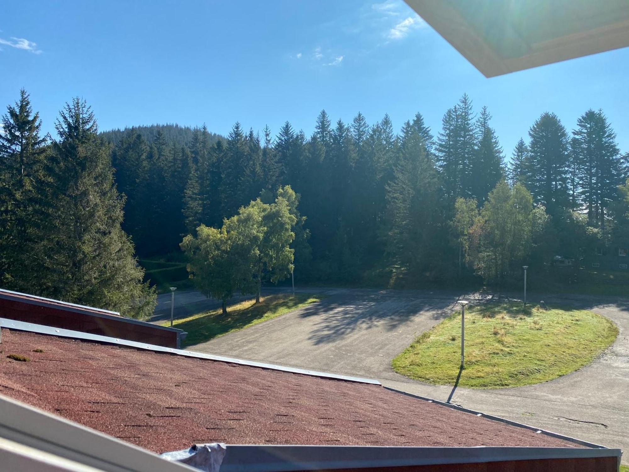 Appartamento Au P'Tit Nid Douillet De Lea Muhlbach-sur-Munster Esterno foto