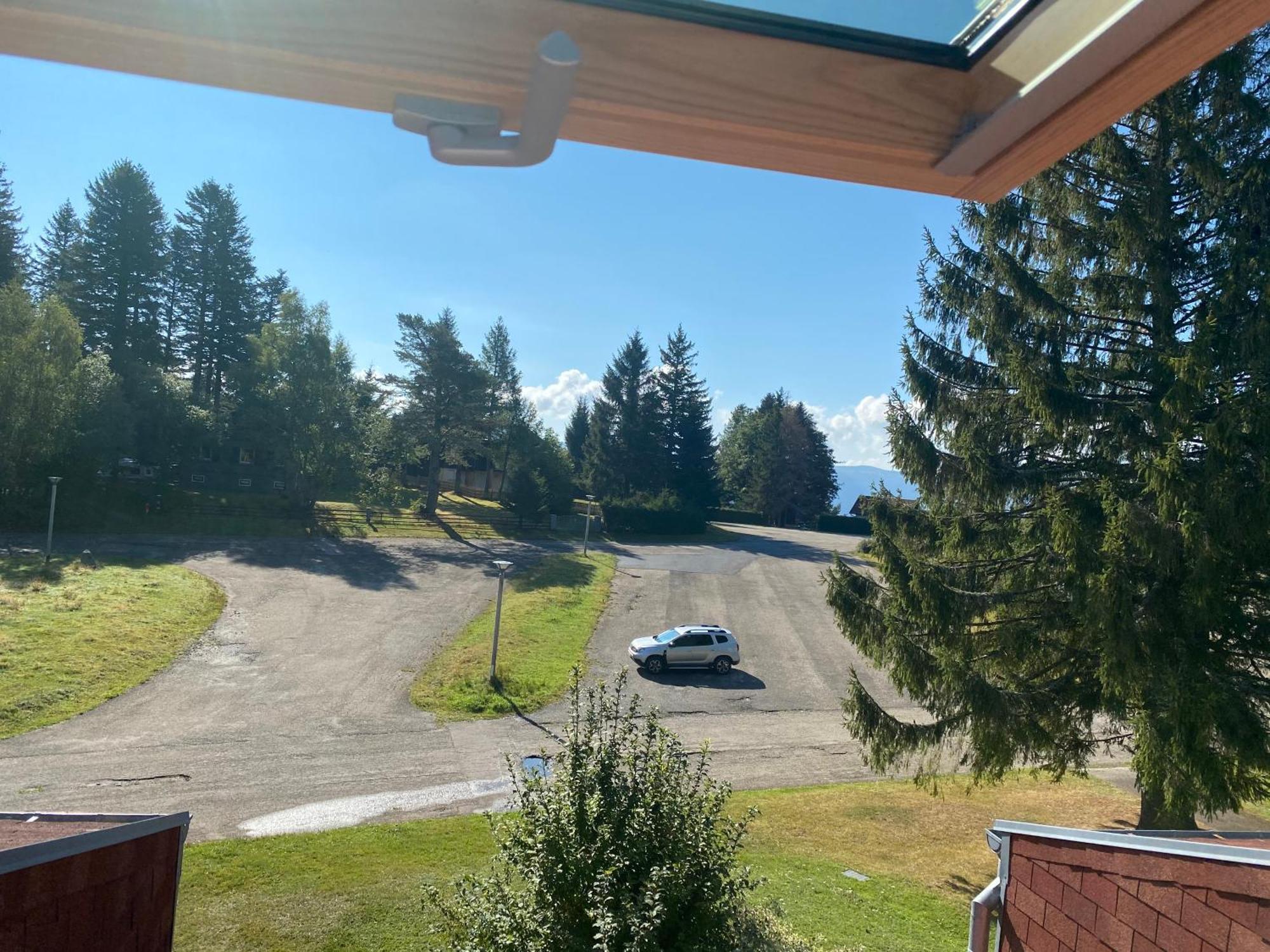 Appartamento Au P'Tit Nid Douillet De Lea Muhlbach-sur-Munster Esterno foto
