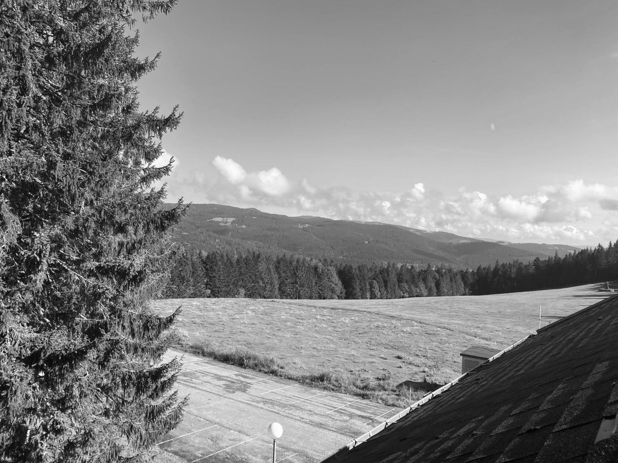 Appartamento Au P'Tit Nid Douillet De Lea Muhlbach-sur-Munster Esterno foto