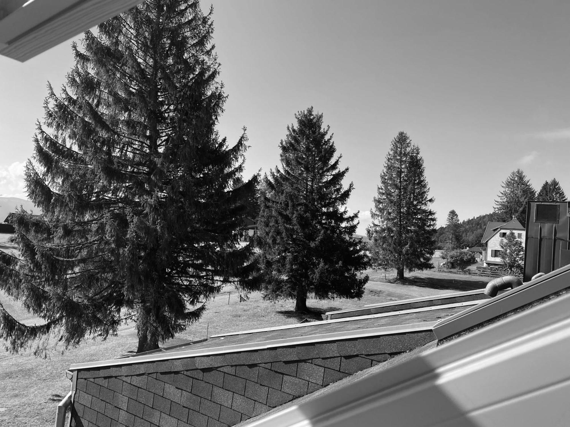 Appartamento Au P'Tit Nid Douillet De Lea Muhlbach-sur-Munster Esterno foto